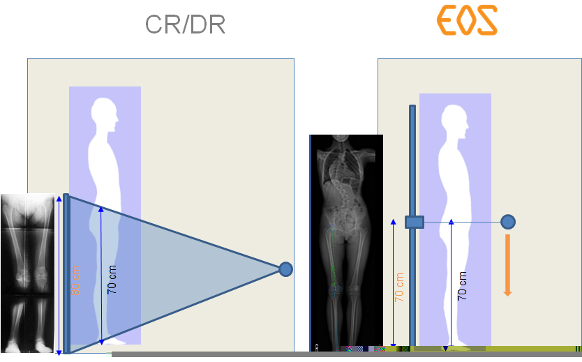 http://ctcoscan.com/sites/default/files/e2.jpg